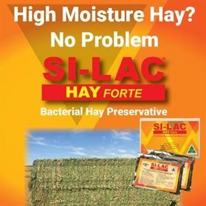 Si-Lac Hay Forte Inoculant